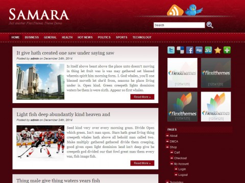 Samara WordPress Theme