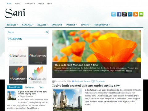 Sani WordPress Theme