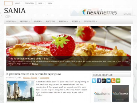 Sania WordPress Theme