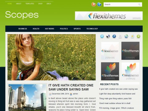 Scopes WordPress Theme