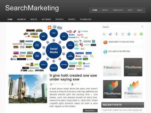 SearchMarketing WordPress Theme