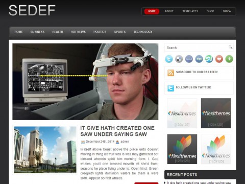 Sedef WordPress Theme