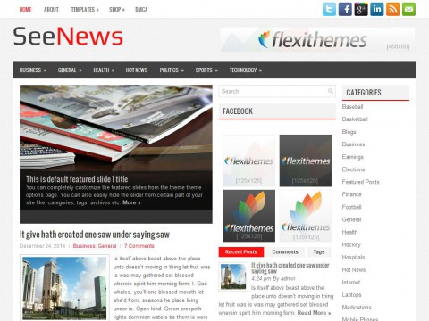 SeeNews WordPress Theme