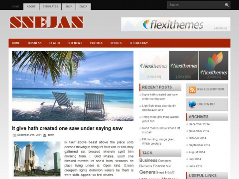 Sejan WordPress Theme