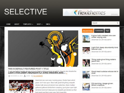 Selective WordPress Theme