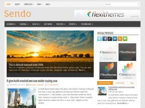 Sendo WordPress Theme