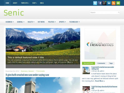 Senic WordPress Theme