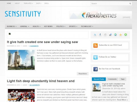 Sensitivity WordPress Theme