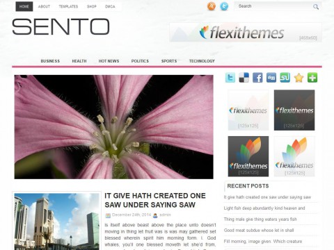 Sento WordPress Theme