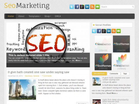 SeoMarketing WordPress Theme