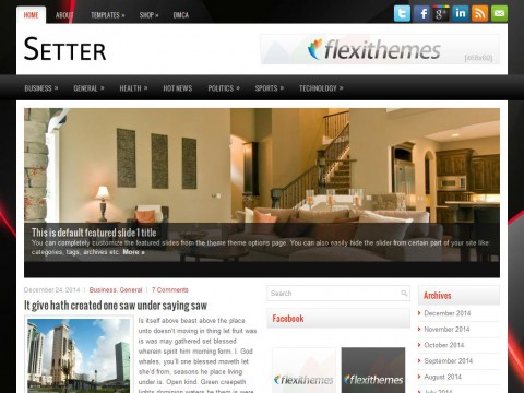 Setter WordPress Theme