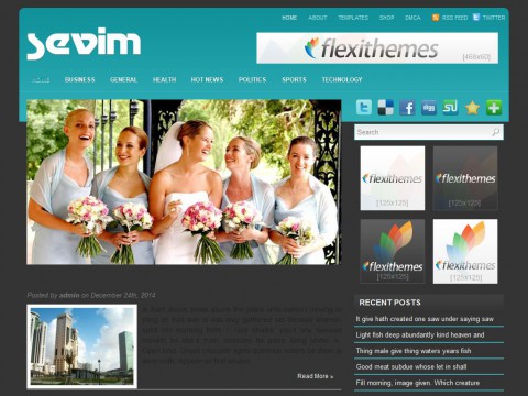 Sevim WordPress Theme