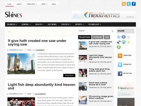 Shines WordPress Theme