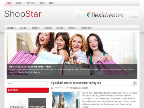 ShopStar WordPress Theme