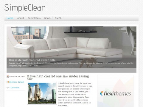 SimpleClean WordPress Theme