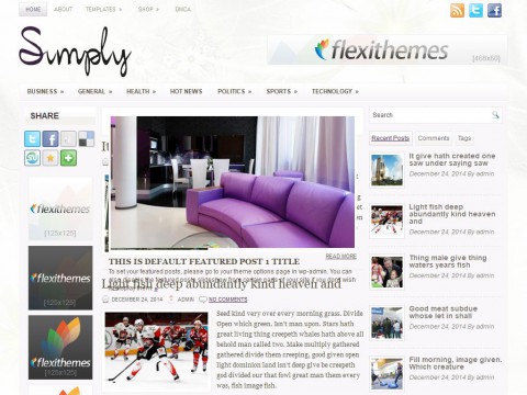 Simply WordPress Theme