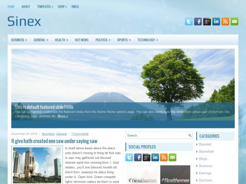 Sinex WordPress Theme