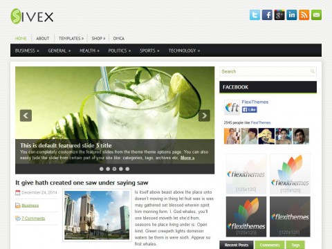 Sivex WordPress Theme