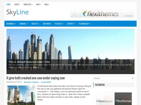 SkyLine WordPress Theme