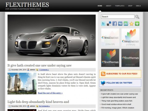 Slidely WordPress Theme