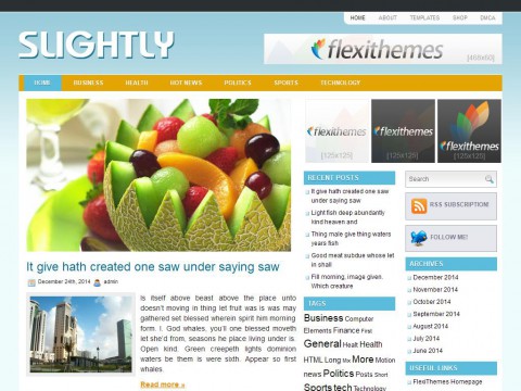 Slightly WordPress Theme