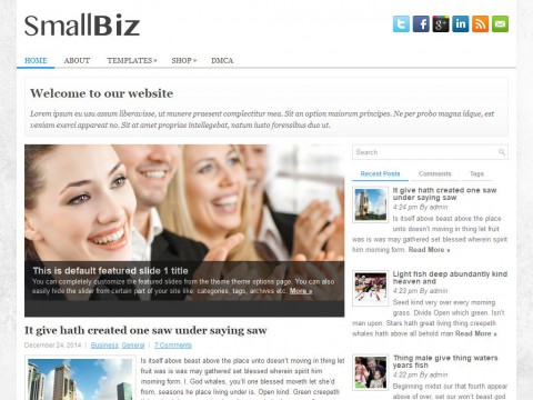 SmallBiz WordPress Theme