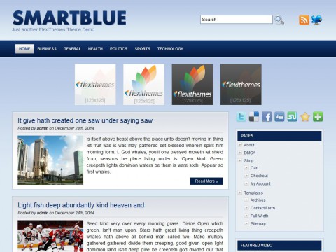 Smart Blue WordPress Theme