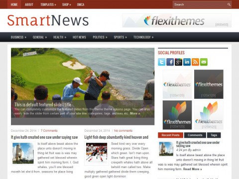 SmartNews WordPress Theme