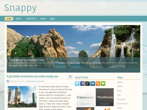 Snappy WordPress Theme