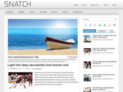 Snatch WordPress Theme