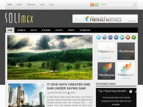 SoliMex WordPress Theme