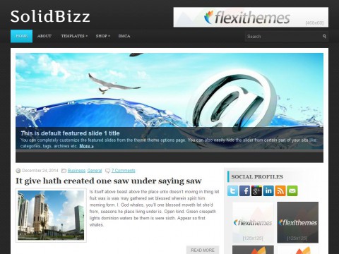 SolidBizz WordPress Theme