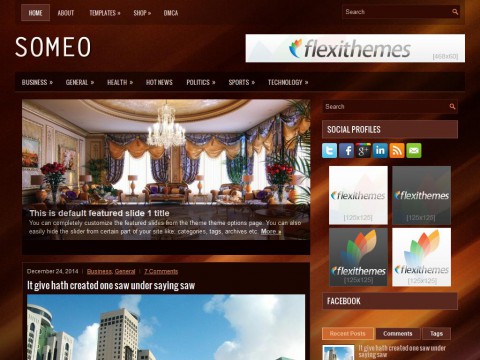 Someo WordPress Theme