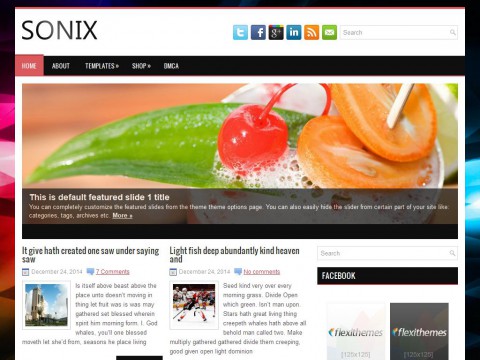 Sonix WordPress Theme