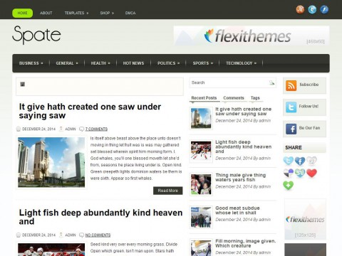 Spate WordPress Theme