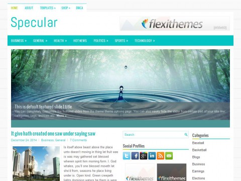 Specular WordPress Theme