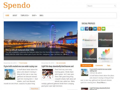 Spendo WordPress Theme