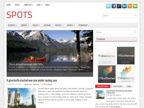 Spots WordPress Theme