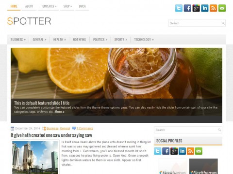 Spotter WordPress Theme