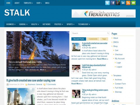 Stalk WordPress Theme