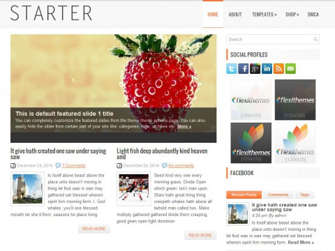 Starter WordPress Theme