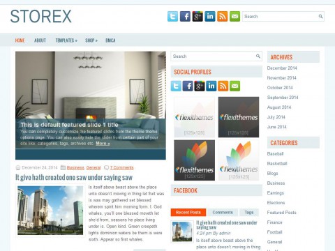 Storex WordPress Theme