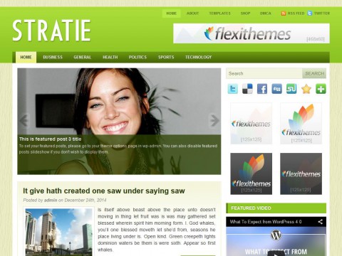 Stratie WordPress Theme