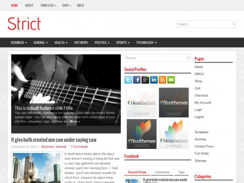 Strict WordPress Theme