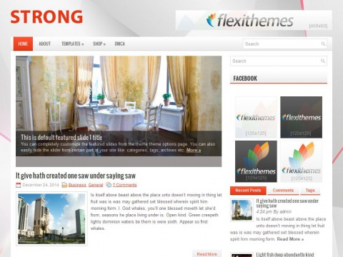 Strong WordPress Theme