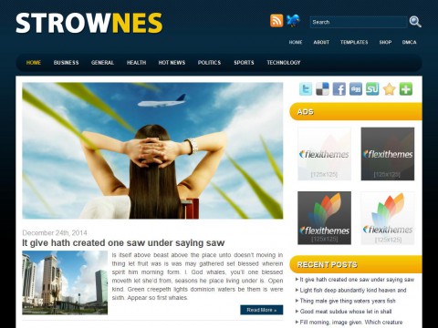 Strownes WordPress Theme