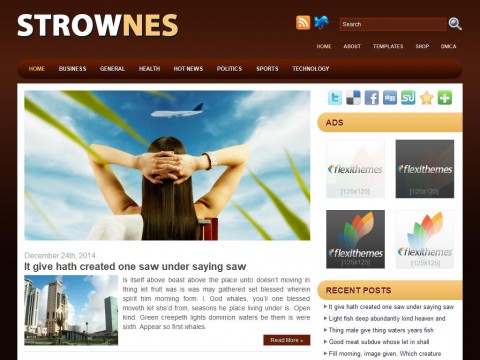 Strownes Brown WordPress Theme