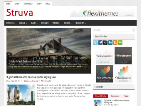 Struva WordPress Theme