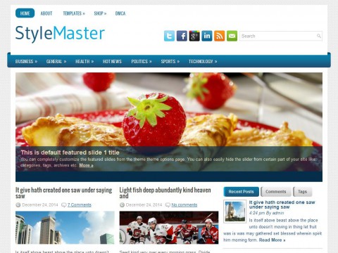 StyleMaster WordPress Theme