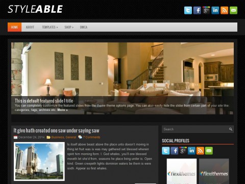 Styleable WordPress Theme